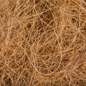 Coir Pith and Fiber