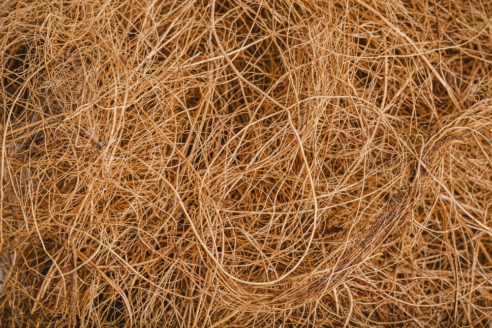 Coir Pith and Fiber